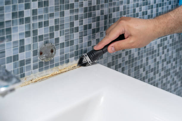 Best Mold Remediation for Specific Building Types in Obetz, OH