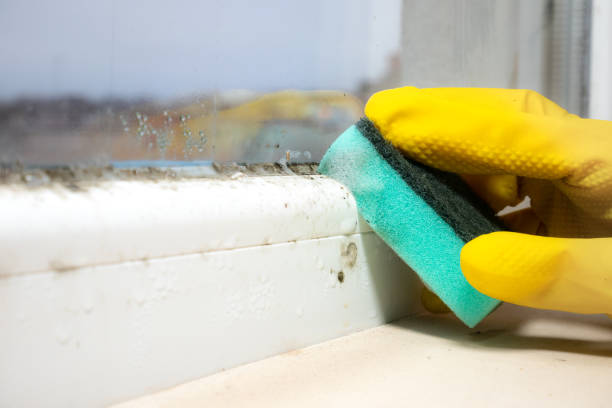 Best Industrial Mold Remediation in Obetz, OH