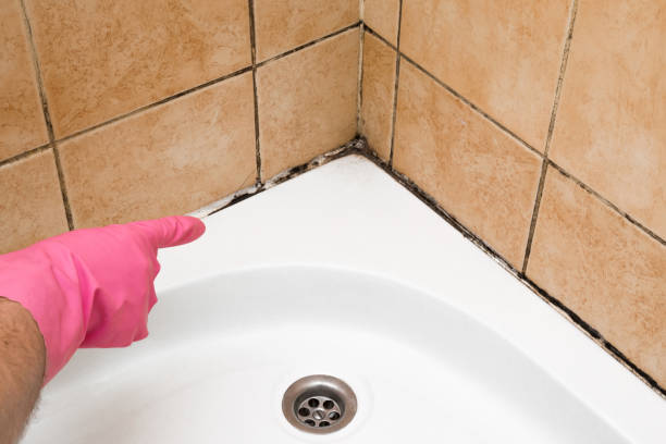 Best Kitchen Mold Remediation in Obetz, OH
